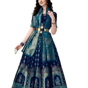 SWAMI STUDIO traditonal womens wear banarasi silk lehenga choli.